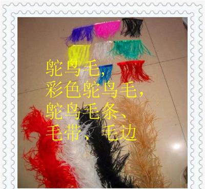 鴕鳥羽毛 從原毛進口到舞臺閃耀的時尚與藝術(shù)輔料
